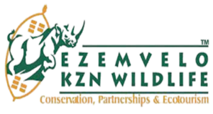 Picture3-removebg-preview